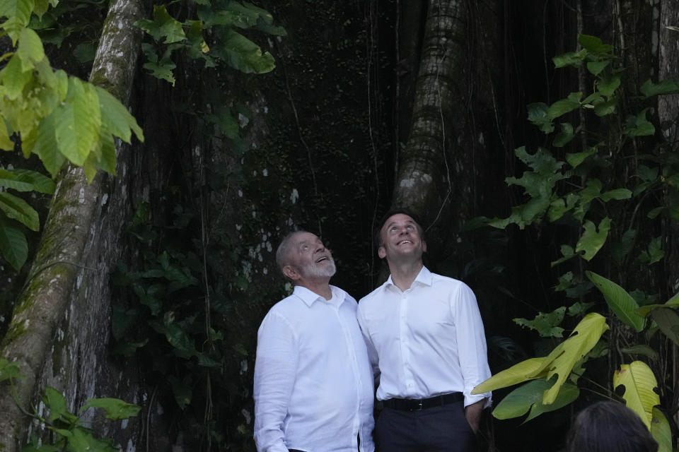 Brazil's President Luiz Inacio Lula da Silva, left, and French President Emmanuel Macron, look up at a canopy of trees after arriving on Combu Island, near Belem, Para state, Brazil, Tuesday, March 26, 2024. Macron is on a three-day official visit to Brazil. (AP Photo/Eraldo Peres)