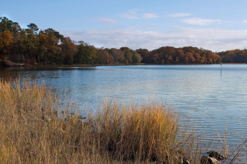 Beautiful Fall Foliage along the Chesapeake Bay in Virginia.