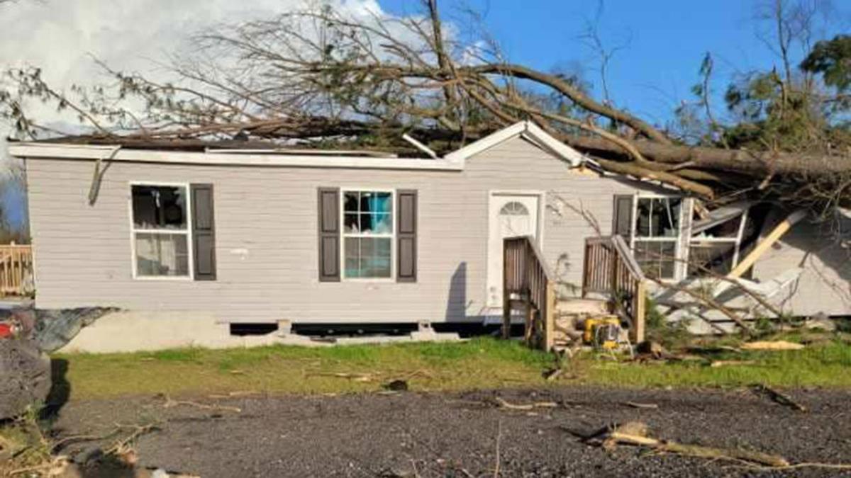 Deadly tornado topples trees, damages homes in Delaware