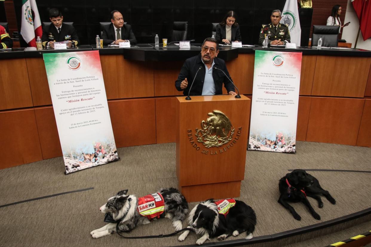 En el Senado, Félix Salgado Macedonio de Morena durante la entrega de reconocimientos a instituciones y personal de binomios caninos que formaron parte del equipo “misión rescate”FOTO: ANDREA MURCIA / CUARTOSCURO.COM