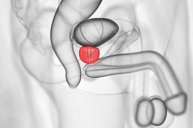 Pourquoi le ventre gargouille ?