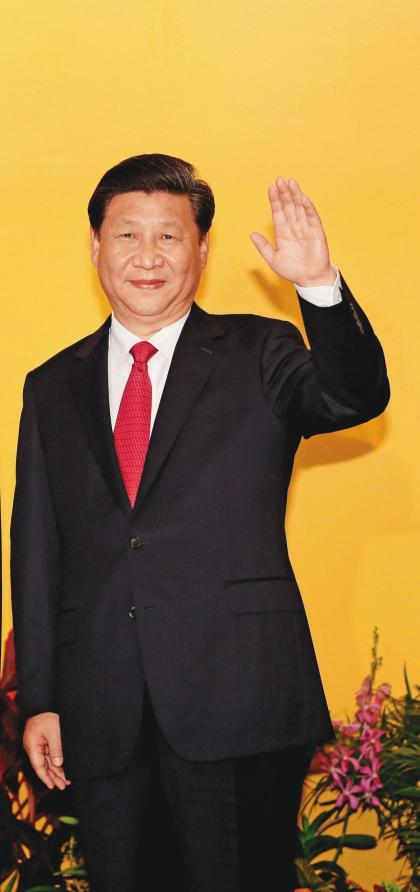 中國國家主席習近平推出「一國兩制台灣方案」，成為激勵綠營選情的關鍵因素之一。