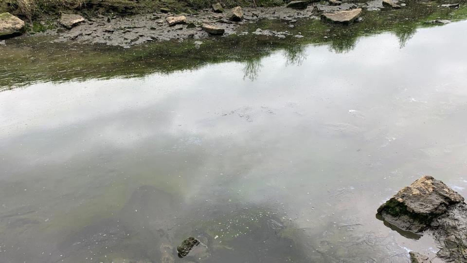 Pollution from treatment works alongside the River Ogmore