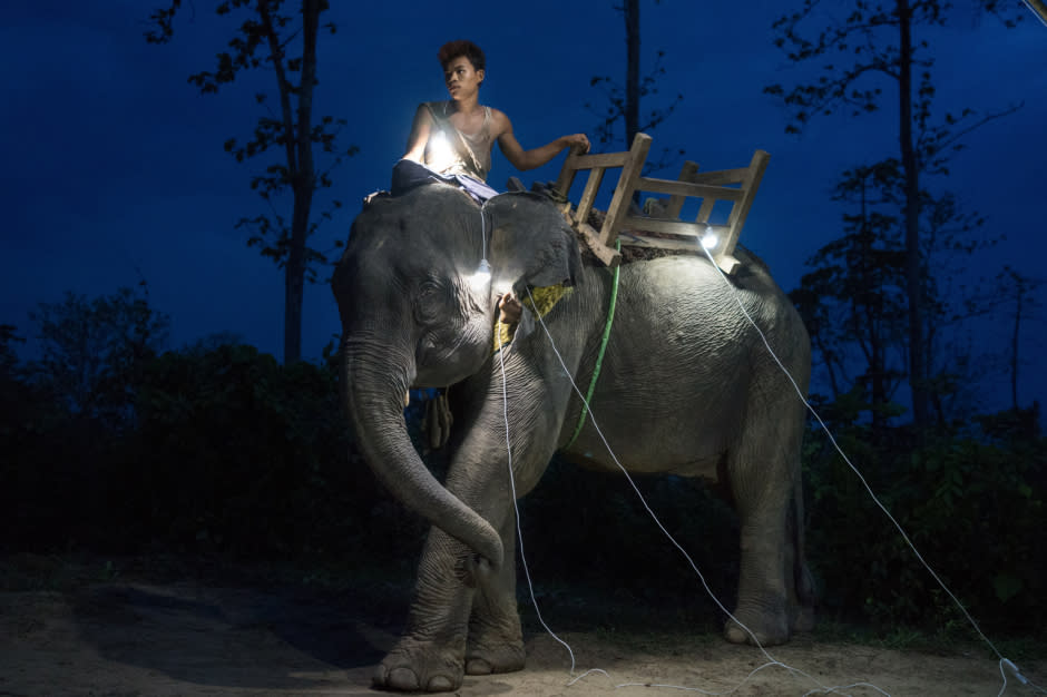 'Oozie' Too Lei, poses for a portrait on his 11-year-old elephant Ba Lei Shu at a logging camp in Bago Division, Myanmar, where some households have solar panels. Oozies, or elephant handlers have worked closely with elephants for logging since over 300 years.