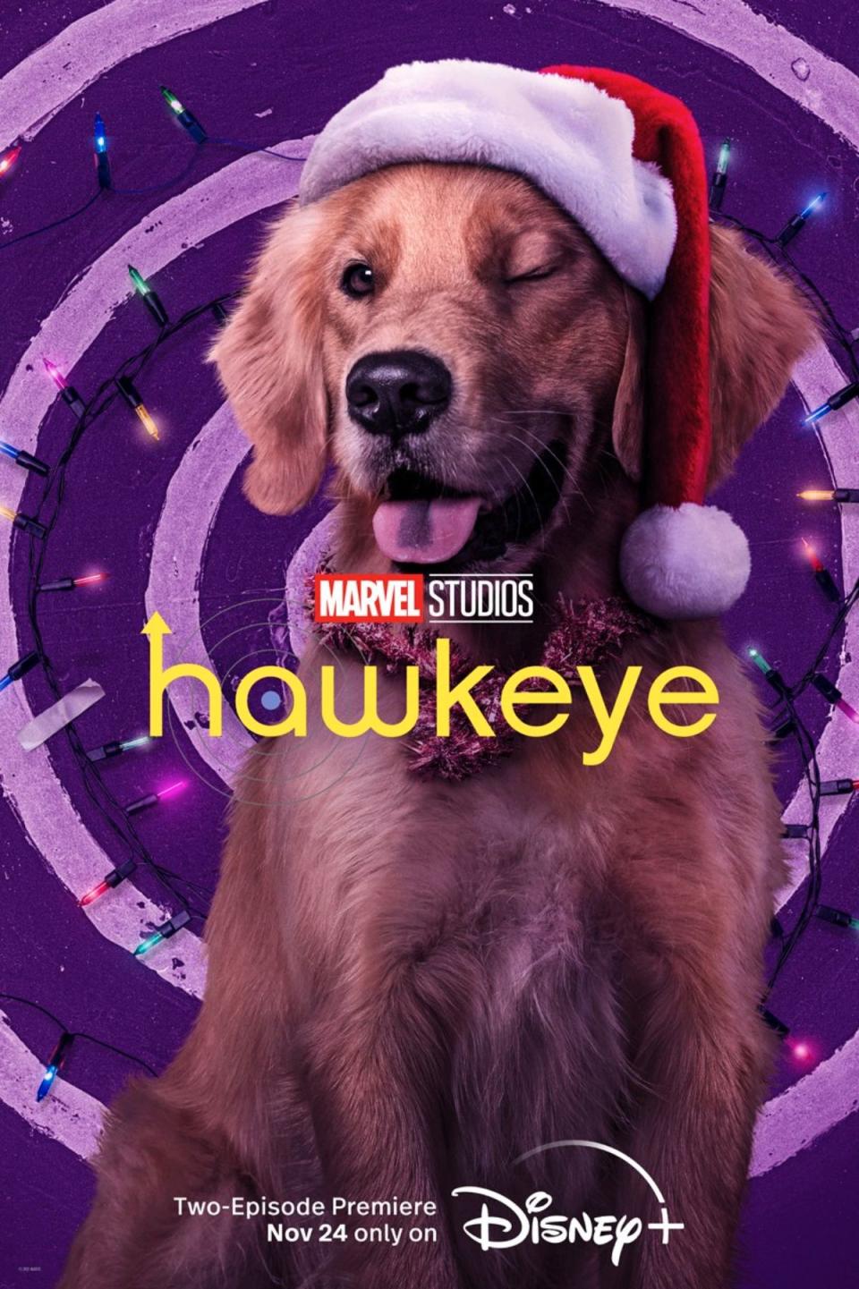 A poster for Hawkeye shows Lucky the Pizza Dog in a Christmas hat