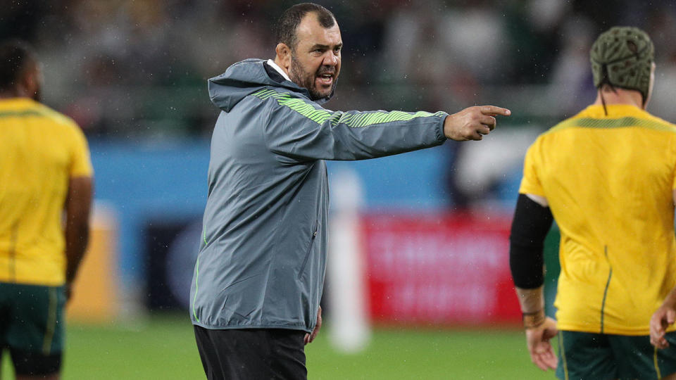 Michael Cheika, pictured here at the Rugby World Cup.