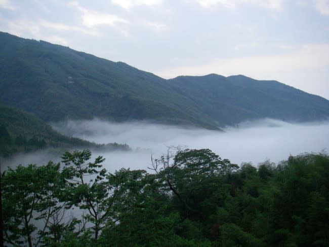 南投》溪頭民宿讓您悠遊於古典氣息之中~