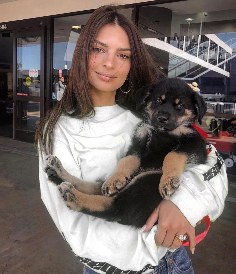 Emily Ratajkowski's dog and travel companion Colombo is <a href="https://www.instagram.com/p/B20DcQfBg9N/" rel="nofollow noopener" target="_blank" data-ylk="slk:a model in his own right;elm:context_link;itc:0;sec:content-canvas" class="link ">a model in his own right</a>.