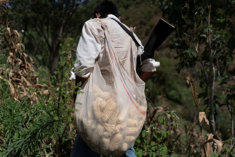 The Wider Image: "Under siege": Inside Mexican village where children are armed