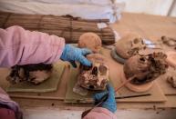 Una arqueóloga examina los cráneos humanos encontrados en el interior de los ataúdes. (Foto: Khaled Desouki / AFP / Getty Images).