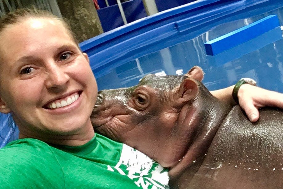 Wendy Rice, the head keeper of the Africa exhibits at the Cincinnati Zoo & Botanical Garden, works with hippo Fiona in the weeks after she was born prematurely. 