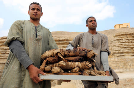 Workers carry mummified cats outside the tomb of Khufu-Imhat, at the Saqqara area near its necropolis, in Giza, Egypt November 10, 2018. REUTERS/Mohamed Abd El Ghany