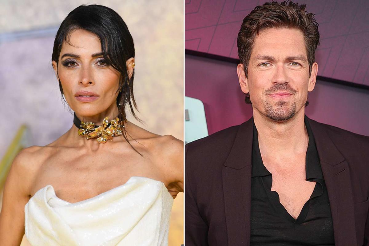 Sex/Life s Sarah Shahi Talks 10 Years of Struggle with Ex-Husband Steve Howey Our Relationship Suffered pic photo