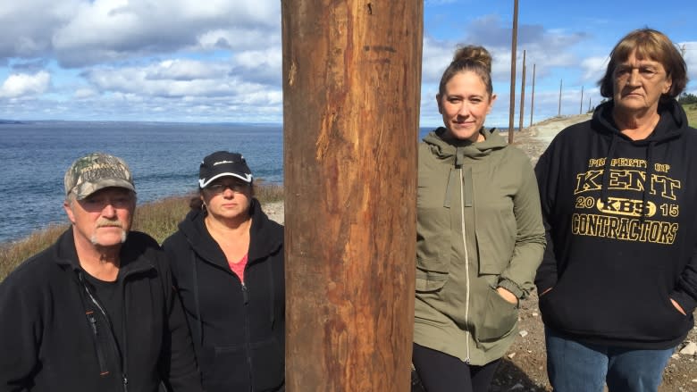 Pole predicament: Seal Cove residents disgusted by utility poles along shoreline