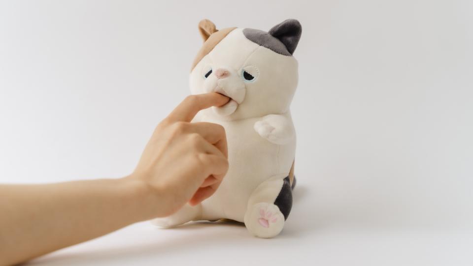 An Amagami Ham Ham robot doll nibbling on somebody's finger with its soft little mouth.