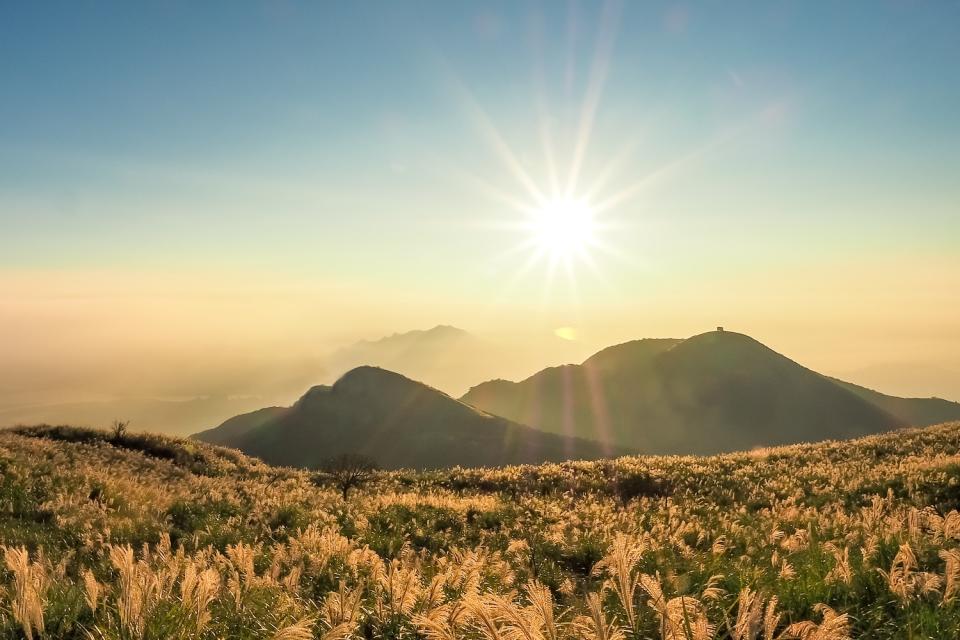 七星山這裡有比人高的芒花（圖片來源：Getty Creative）