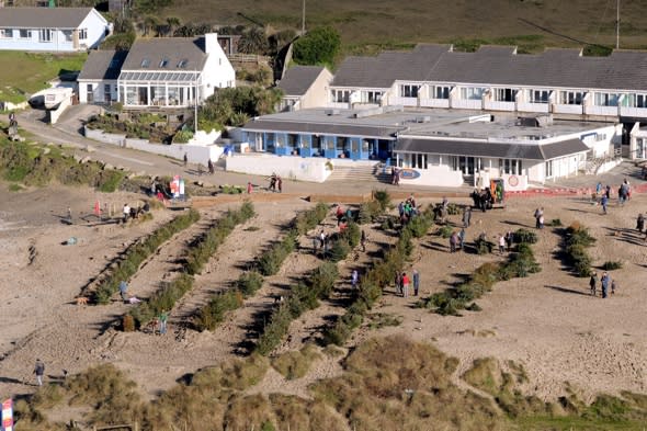 christmas-trees-dumped-porthtowan-beach-cornwall-ruining-tourism