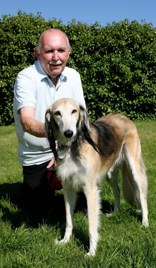 tallest dog breed saluki and kneeling owner