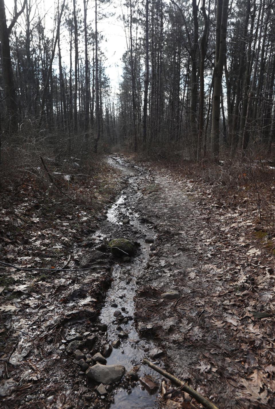 Melting snow creates a shallow river on the Drumlin Trail at Chimney Bluffs State Park.