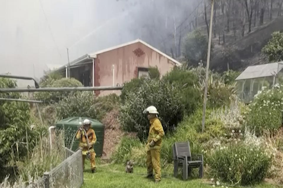 In this Dec. 20, 2019, photo taken and provided by Adam Mudge, firefighters approach a koala in the garden as fires burn near a home in Cudlee Creek, South Australia. Local firefighters assigned to protect a property from an approaching fire in South Australia on Friday helped a homeowner move koalas into her house to keep them safe from the flames. (Adam Mudge via AP)