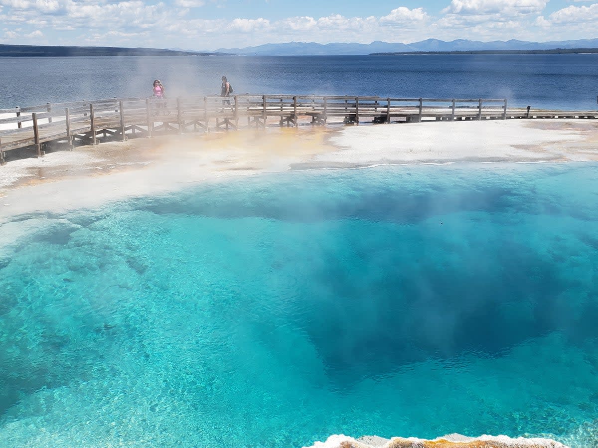 Part of the geothermal features at Yellowstone’s West Thumb Geyser Basin (Simon and Susan Veness)