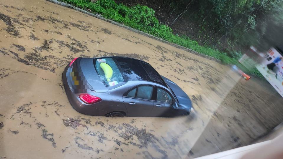 大埔林錦公路私家車，大埔林錦公路近梧桐寨，有私家車被水圍困「死火」。(網上圖片)