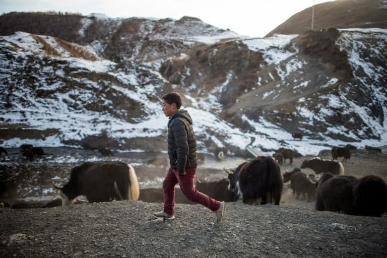 Chinese authorities say urbanisation in Tibetan areas and elsewhere will increase industrialisation and economic development, offering former nomads higher living standards and better protecting the environment