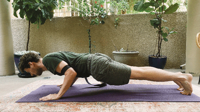 chaturanga dandasana variations