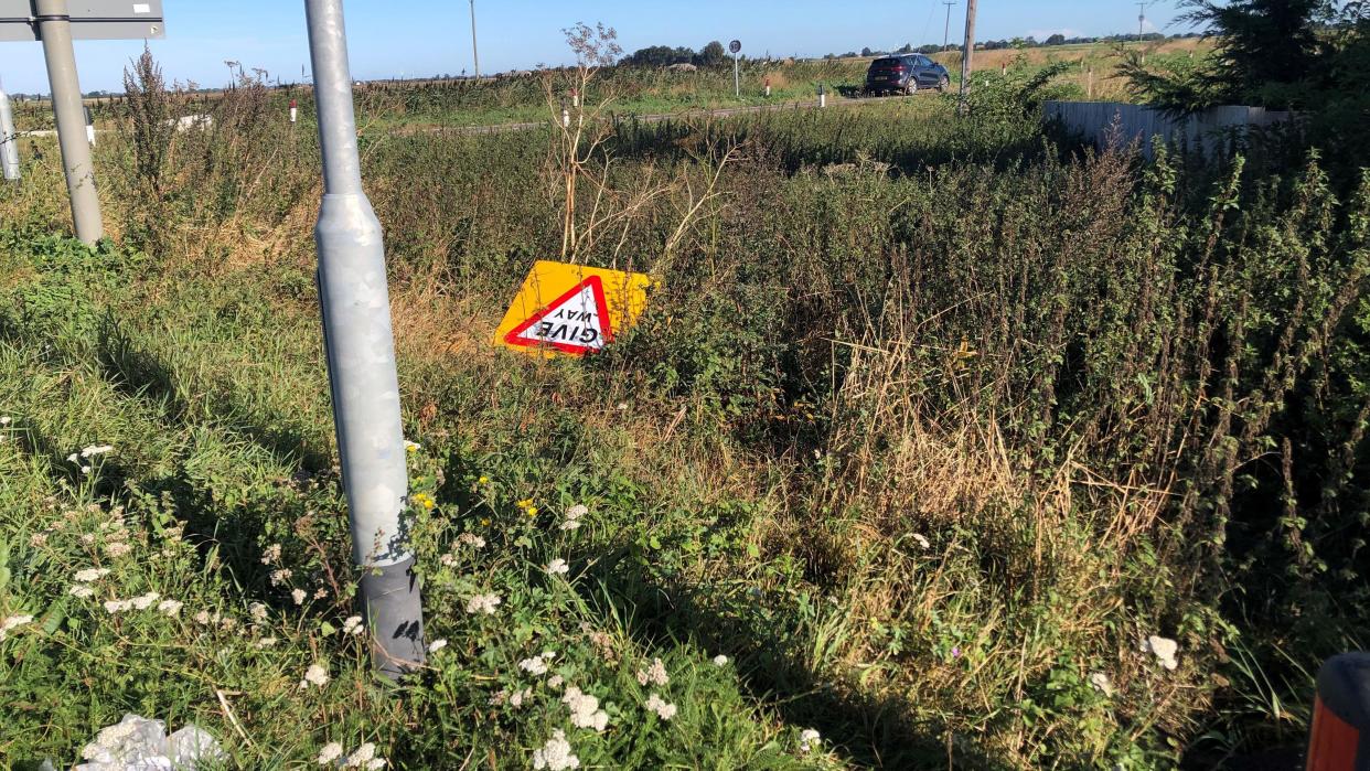 A new give way sign lying among grass and other plants in a dip/verge at Boots Bridge crossroads