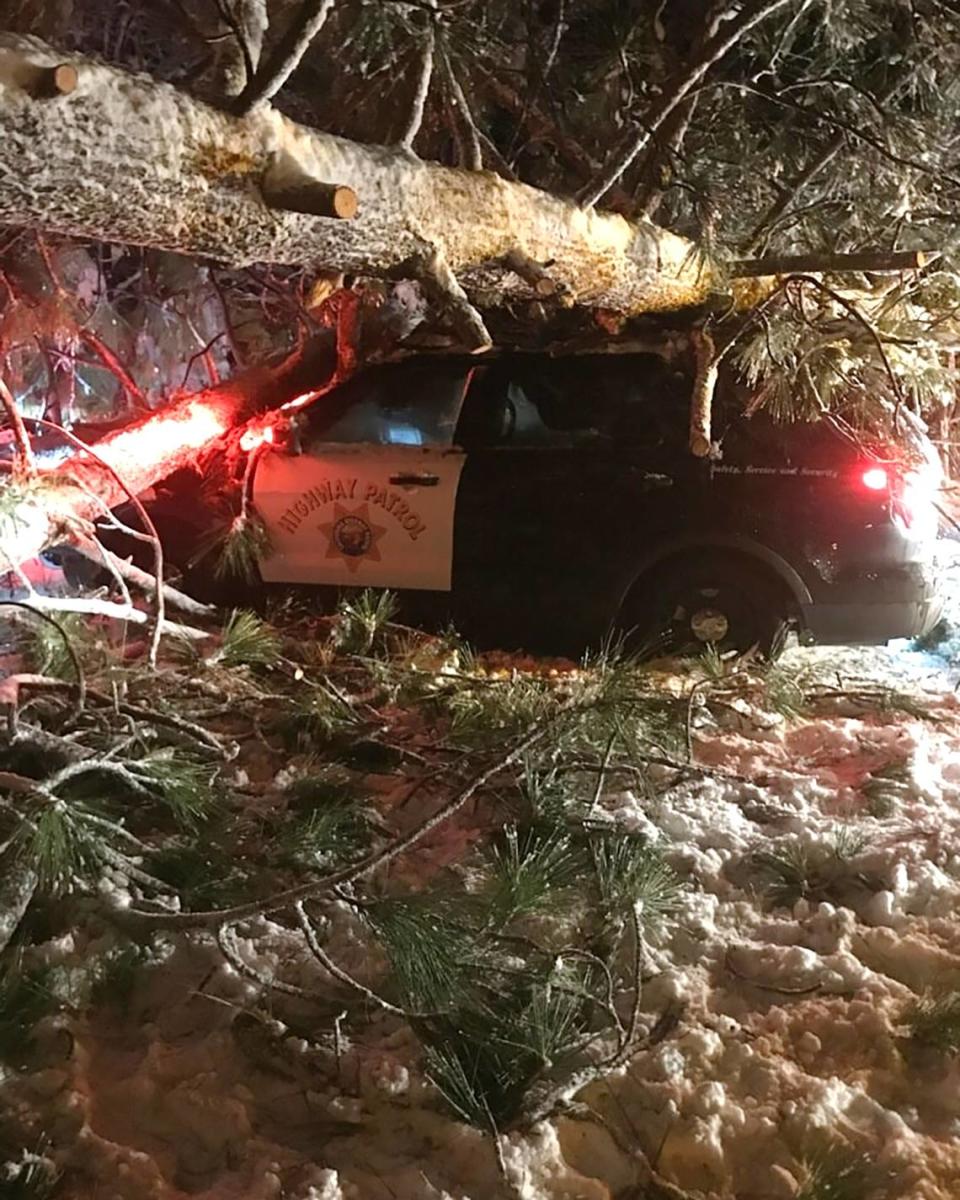 A tree fell on a California Highway Patrol car but did not injure the officer on March 1, 2023, on Highway 4 near Murphys.