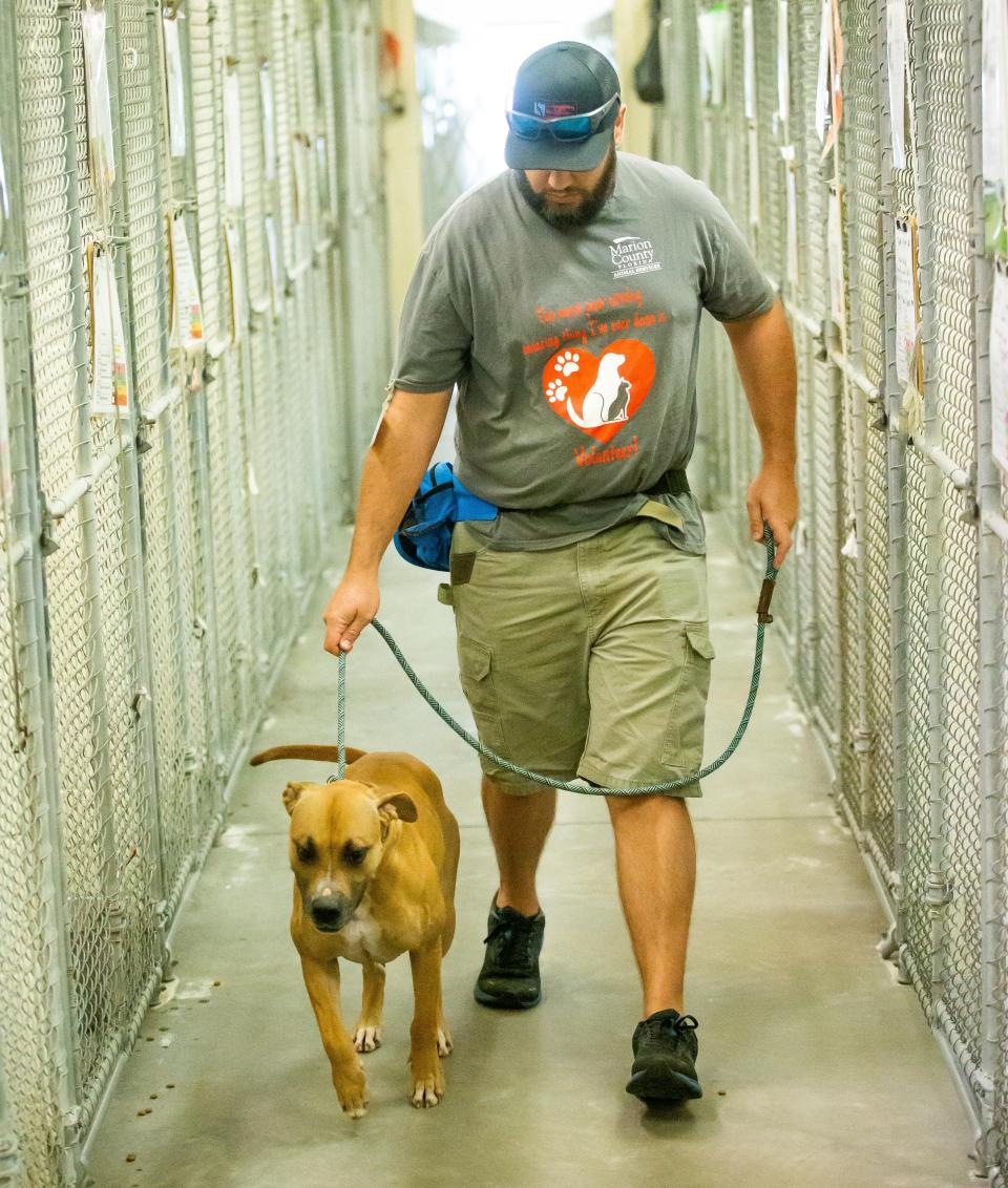 Marion County Animal Services volunteer Sterling Forrest walks Staranicse out of her kennel at the shelter on May 4.