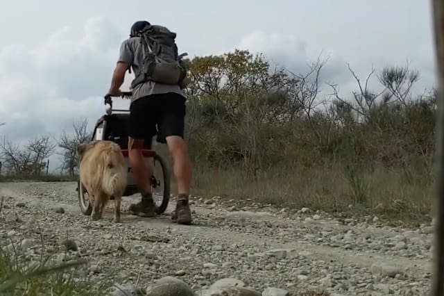 One man's epic bid to walk across the entire world with his dog for company