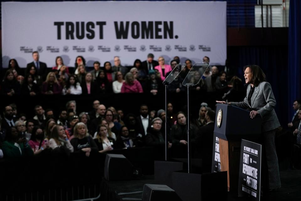 Vice President Kamala Harris speaks at the International Union of Painters and Allied Trades District Council 7, Monday, Jan. 22, 2024, in Big Bend, Wisconsin.