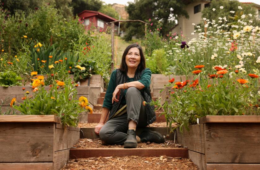 LOS ANGELES-CA-MAY 9, 2024: Kathleen Ferguson grows flowers on a hillside garden in Eagle Rock for Frogtown Flora on May 9, 2024. (Christina House / Los Angeles Times)