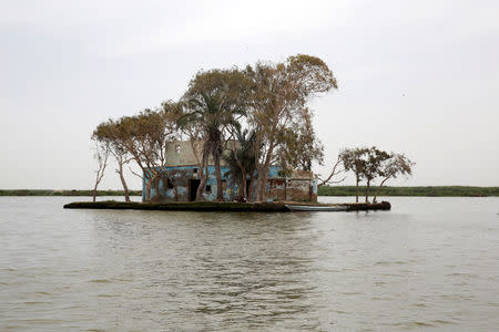 A view of old fish market "El Shakhluba Island" is seen at Burulus lake front of Egypt's Nile Delta village of El Shakhluba, in the province of Kafr el-Sheikh, Egypt May 5, 2019. Picture taken May 5, 2019. REUTERS/Hayam Adel