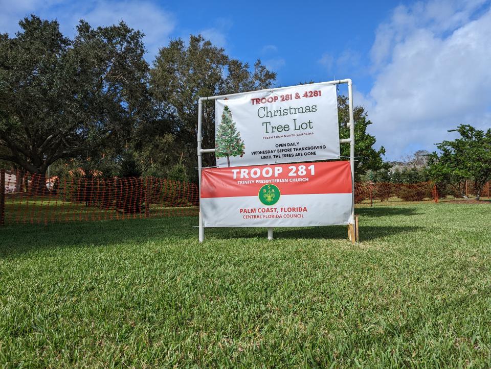 Boy Scouts are selling Christmas trees at Trinity Presbyterian Church, 156 Florida Park Drive N., Palm Coast.