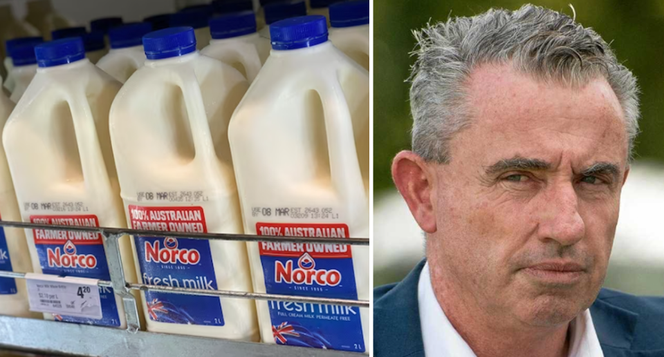 Left, Norco milk on refrigerated shelves in Woolworths. Right, Federal MP Kevin Hogan looks stern in a suit. 