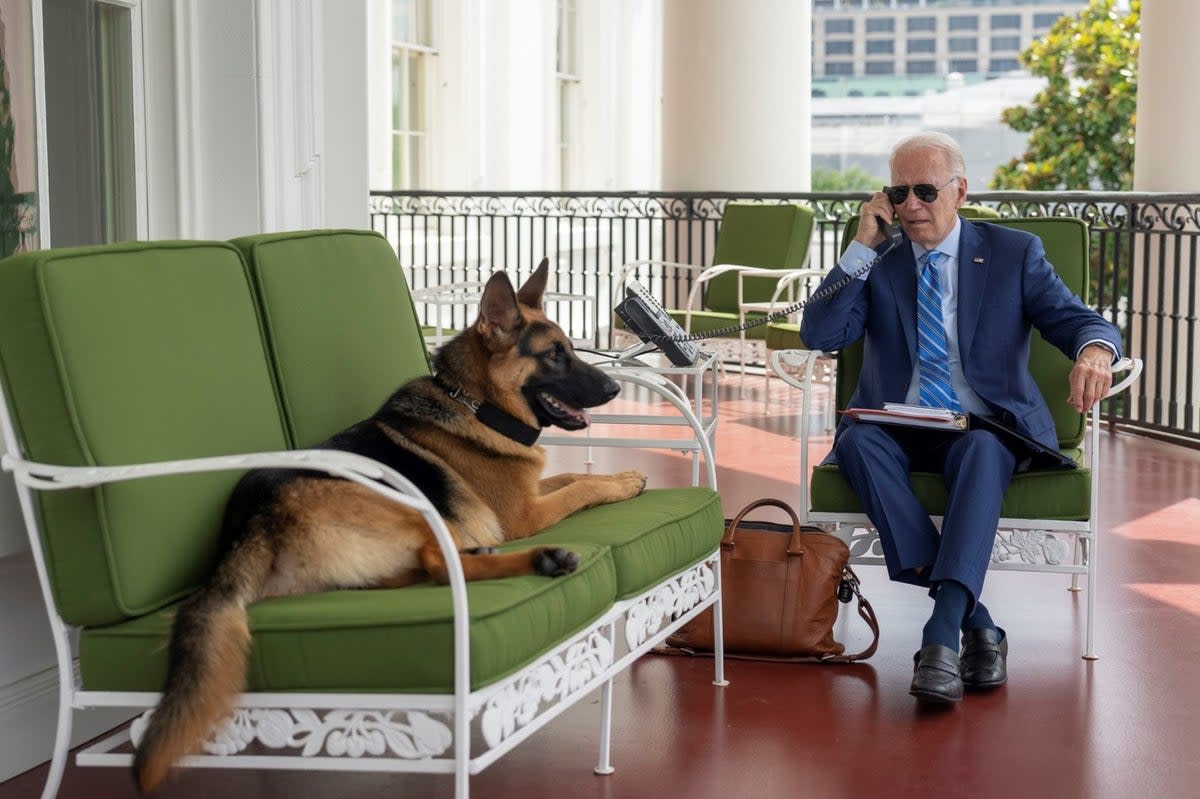 Joe Biden and his dog Commander (Potus)