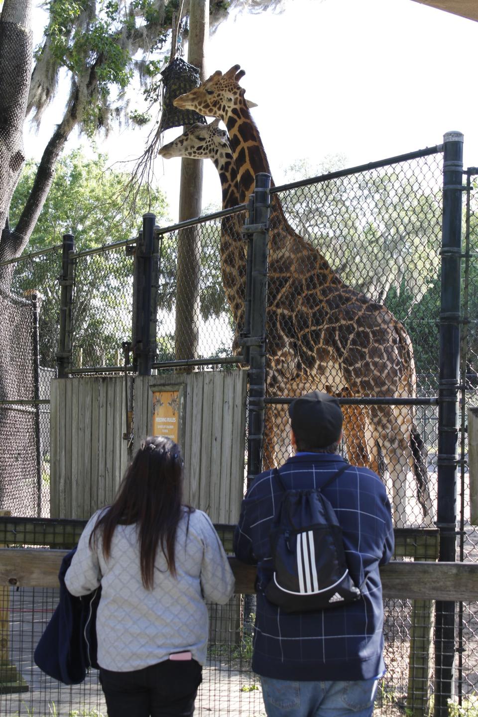 Brews Around the Zoo returns to the Central Florida Zoo & Botanical Gardens.