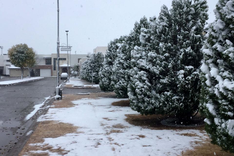 <p>SALTILLO, Coah. Weather/Clima-Coahuila.- La entidad amanece con nieve en distintas zonas, tras el paso del frente frío número 14, 8 de diciembre de 2017. Foto: Agencia EL UNIVERSAL/JMA </p>