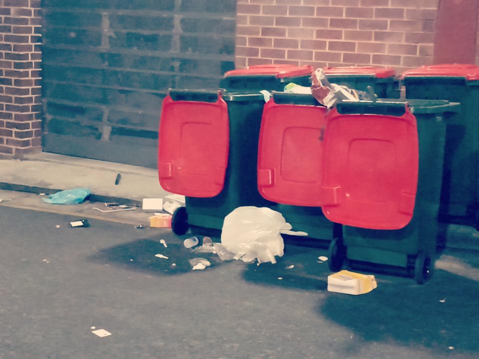 Alleyway in Darlinghurst with rubbish. Source: Supplied / Allan Quinnell