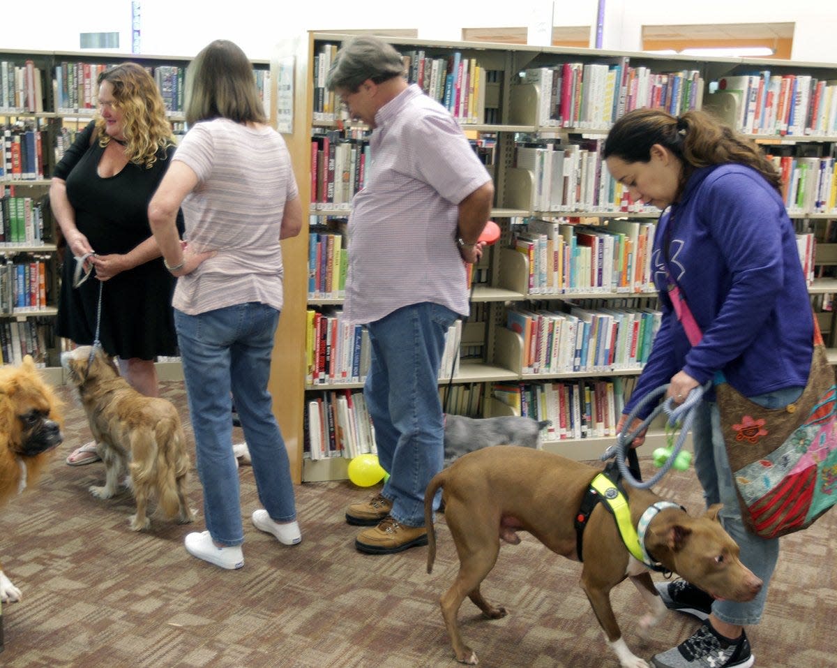 Families line up for a professional photo shoot for their pets during a recent Pet Pfest at the Pflugerville Public Library.