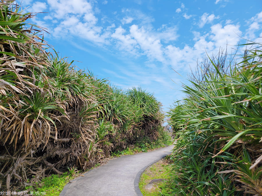 新北石門｜北海岸踏浪玩沙