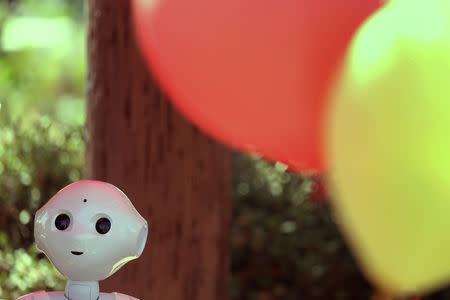 FILE PHOTO: An artificial Intelligence project utilizing a humanoid robot from French company Aldebaran and reprogramed for their specific campus makes its debut as an assistant for students attending Palomar College in San Marcos, California, U.S. October 10, 2017. REUTERS/Mike Blake