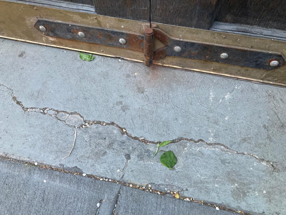 Leaves in front of Taylor Swift's townhouse on Cornelia Street