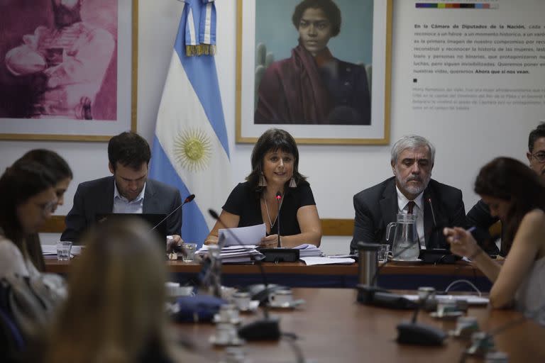 Carolina Gaillard, la titular de la comisión de Juicio Político