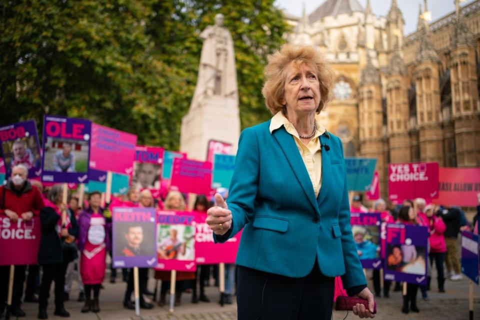 Baroness Meacher joined demonstrators outside the Houses of Parliament to call for reform (Dominic Lipinski/PA) (PA Wire)