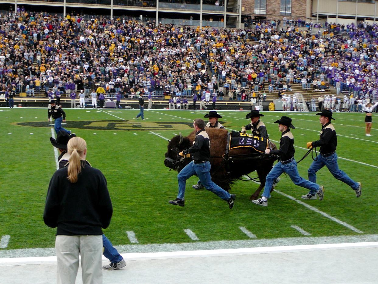 Ralphie the bull running in the game against Kansas State Wildcats, Colorado lost 34-21.