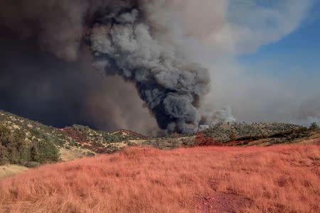 With pink retardant in foreground, fire blows up on north side of the Merced River after authorities ordered evacuations due to the Detwiler fire in Mariposa, California, U.S. July 18, 2017. REUTERS/Al Golub