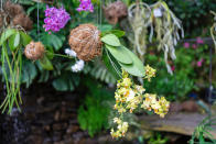 <p> If you&#x2019;re after more unusual plants for hanging baskets, then consider the traditional Japanese art of kokedama, which is making a resurgence.&#xA0; </p> <p> &#x2018;Kokedama is the practice of taking the roots of the plant and suspending them in a ball of sphagnum moss, which is then wrapped with a soft moss such as sheet moss,&#x2019; says Paige Harmon of Westerlay Orchids. </p> <p> &#x2018;It is a living planter that has a very natural feel to it. It makes a distinctive display piece which can be hung either indoors or outdoors, depending on the plant.&#xA0; </p> <p> &#x2018;Orchids make the most beautiful kokedama but there are many plants that can be used and look amazing as well.&#x2019; </p>